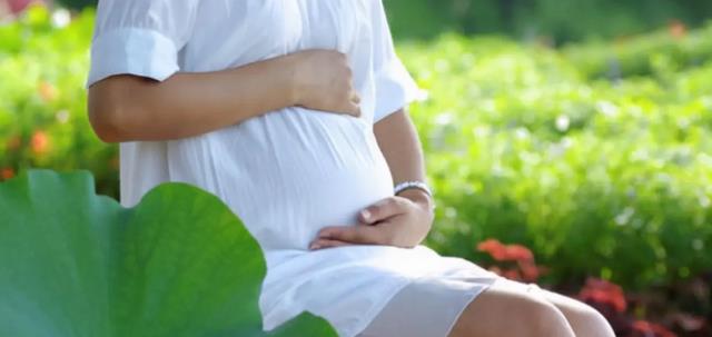 全职妈妈|宝马做洗碗工月薪1600非常开心!全职妈妈,背后现状让人心酸