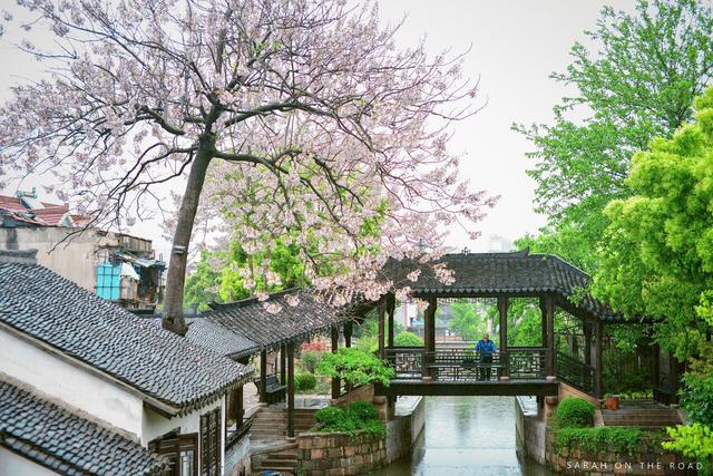 古镇|上海的四个古镇在哪?你都去对了吗?