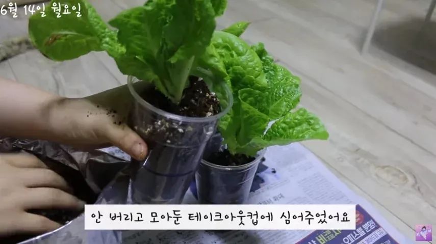 购房置业|24岁女孩每月花44元,攒53W买房独居,拼不了爹,也不靠结婚翻身