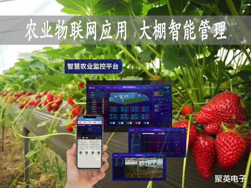 李想|物联网农业应用，大棚草莓温度智能管理，手机远程控温