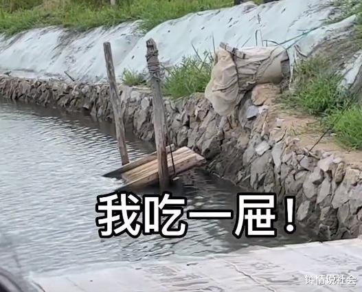 辽宁一南方女子去北方男友家,东北新体验逗笑网友:离痛风不远了
