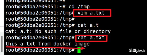 docker|Docker学习6-Docker镜像commit操作案例