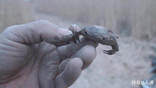 腹泻|34岁女驴友持续腹泻21天后,查出艾滋和肺吸虫,她的教训令人深刻