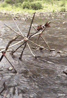 空军|“钓鱼的时候飞到我手上的，第一次见，有知道这是什么的吗？”