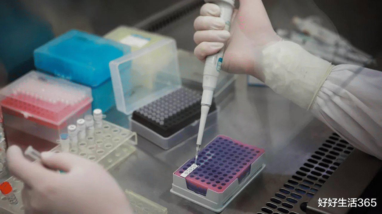 健康码|天天在家待着，健康码却突然变红，原因可能是这两种