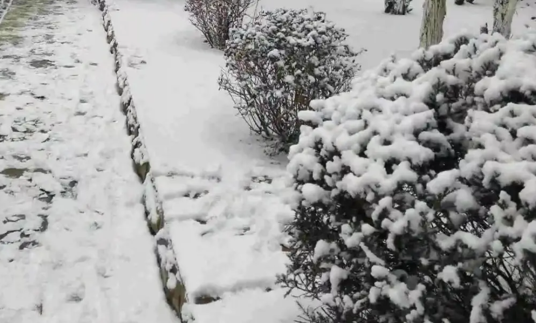 |胡鑫宇事件出现一线曙光!有网友找到一隐蔽山洞,复杂深邃无信号