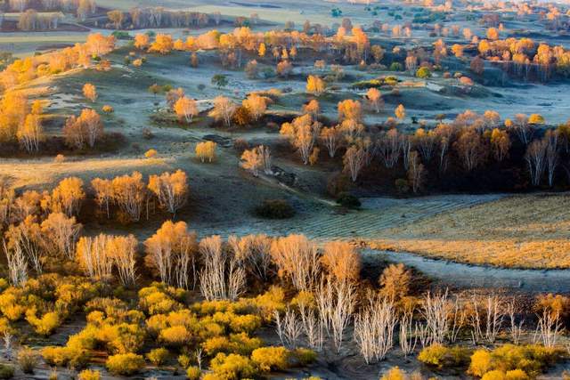 额济纳|10个最美的秋天,去过一半都不简单