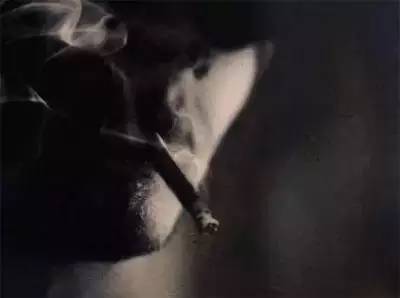 医学|血管用多久,谨记这几种行为最伤血管!