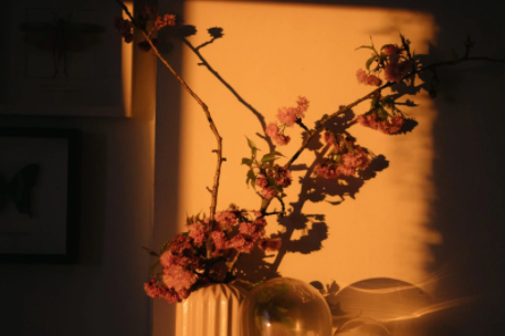 费尔顿|你的选择,藏着你的好运气