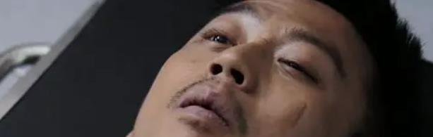 汪峰|网友总结国内男明星演艺规律,好笑又真实,汪峰那条亮了!