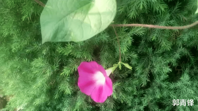 招聘|和领导相处时,四件不能做的事情,你知道吗?