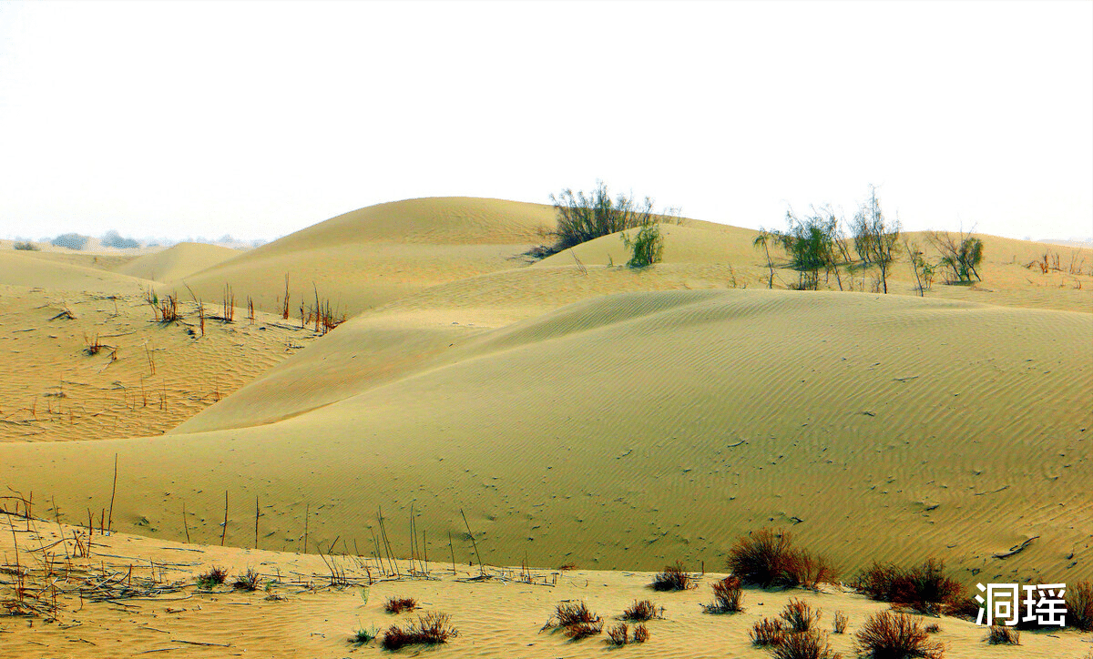 塔克拉玛干沙漠|塔克拉玛干沙漠下有一片“海洋”，淡水储量大，为啥不开采？