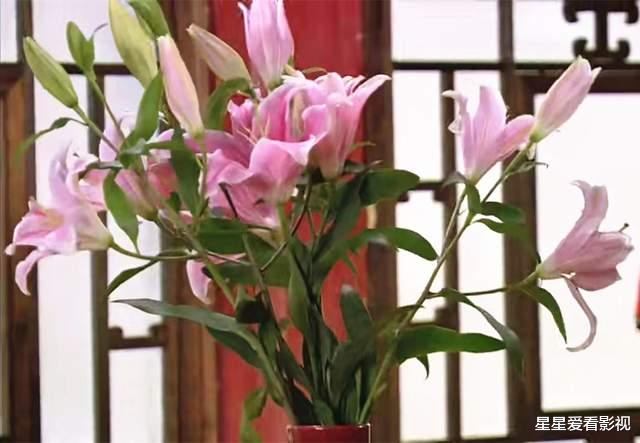 安陵容|甄嬛传:安陵容是调香专家,甄嬛送下药的百合花,为啥没被发现?