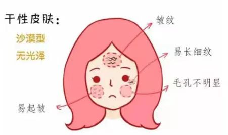 黄瓜 不同皮肤属性+护肤要点揭秘！