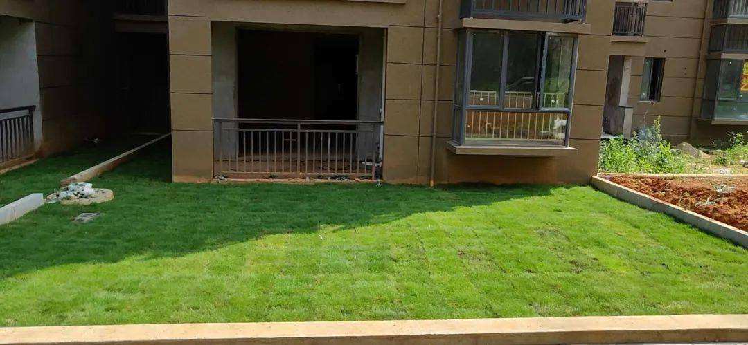 一楼带院的房子真的“香”吗,只有入住了,才明白到底有多“苦”