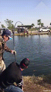 “现在医生这么大胆了吗，扎双马尾上班？”这心电图能正常吗