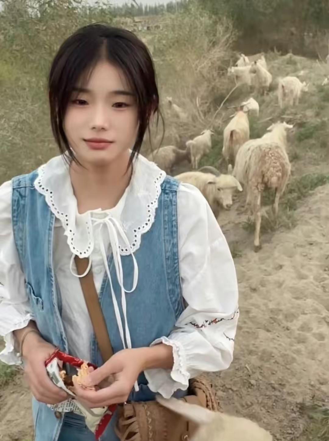 灰太狼|灰太狼的羊给我们的启示，互联网不能只看脸