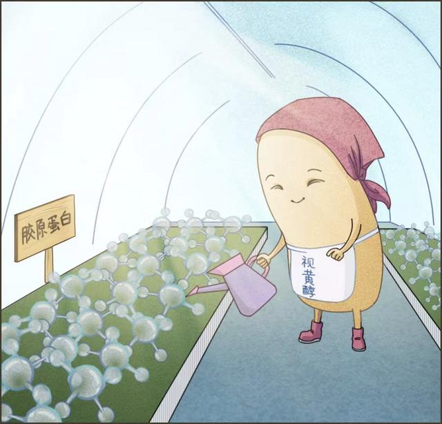 甲状腺癌|这几种东西补对了，真能老得慢一点