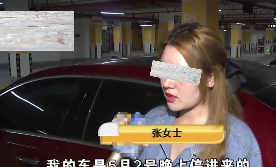 6岁男童划伤20万奔驰,车主索赔闭门羹,家长扬言:法律也约束不了我