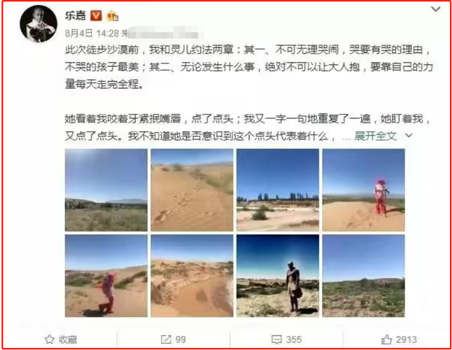 乐嘉|乐嘉,终究为自己的“酒后撒泼”付出了代价