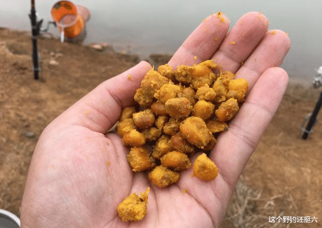 饵料|了解高温天气蚯蚓钓鱼技巧,当你连杆时,周围钓友再去效仿也没用