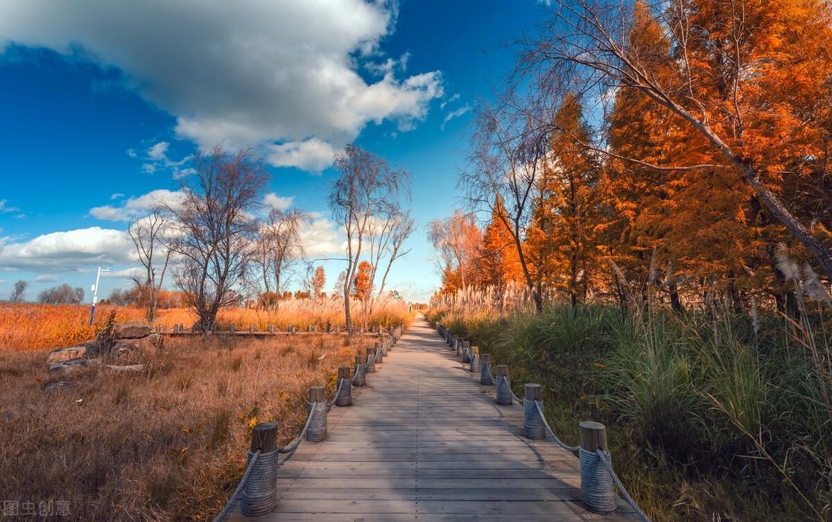 滕州|郭进拴|雨中游滇池
