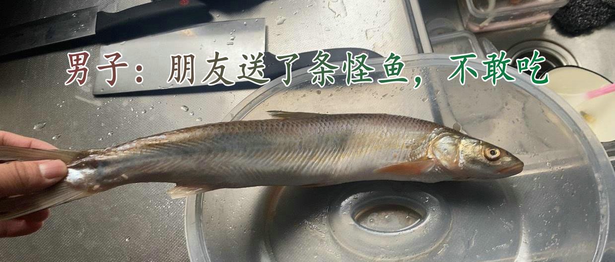 长江|十年鱼？上饶男子钓到怪鱼自己不吃却送给朋友，网友：这不害人吗