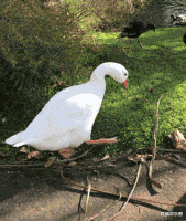 |“这是我们江西的彩礼,别的省有这么多吗?”有被酸的到吗?