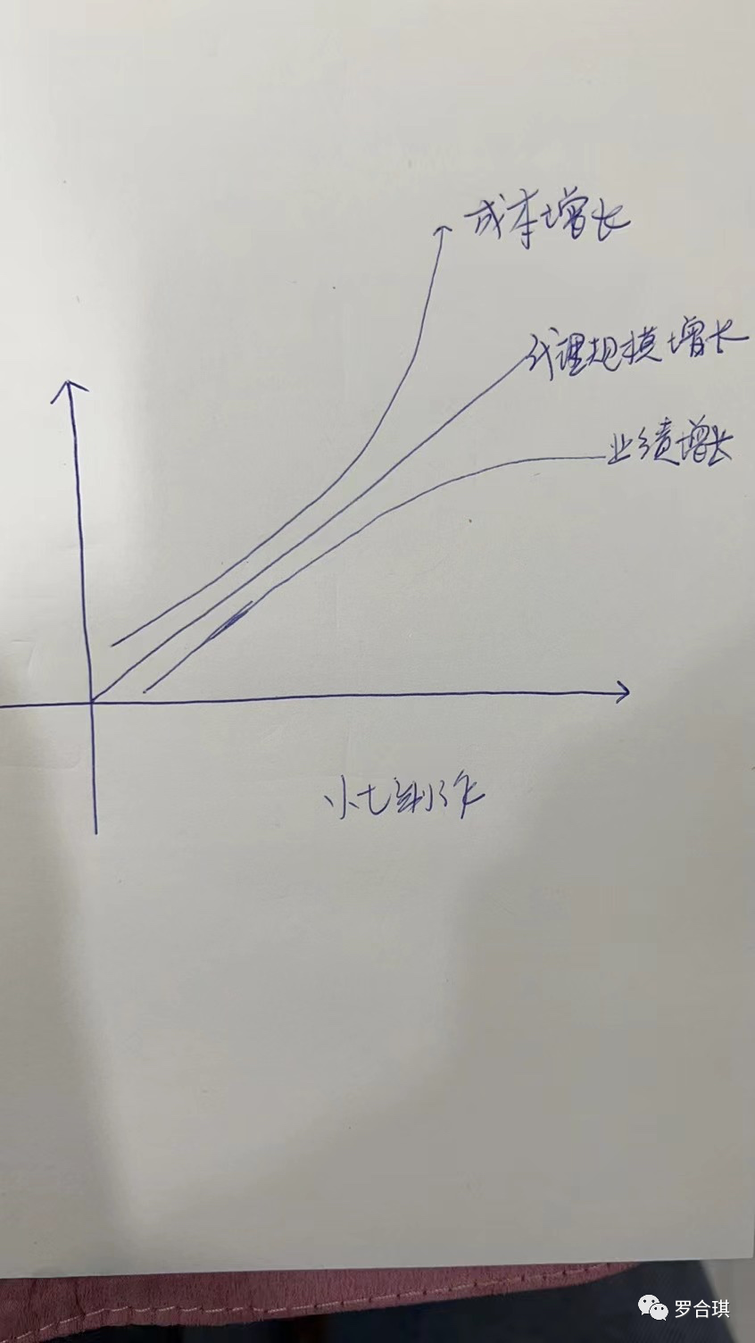 |罗合琪：带一支团队？实际在运营一家公司。