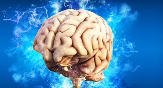 男人为什么“好色”?科学证明,原来男人拥有两颗“大脑”