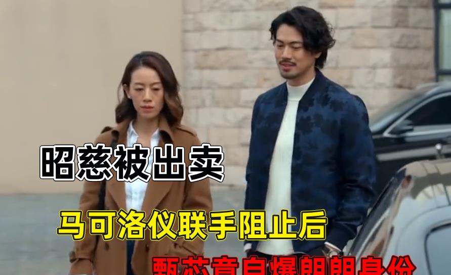 郎朗|家族荣耀：昭慈答应联姻，马可洛仪联手阻止后，甄芯自曝朗朗身份