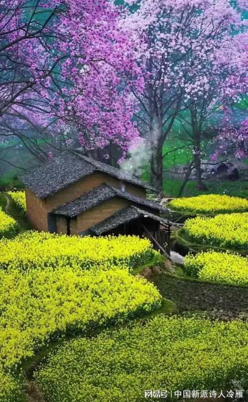 余光中|余光中一首《乡愁》竟然蒙蔽了我们几十年!