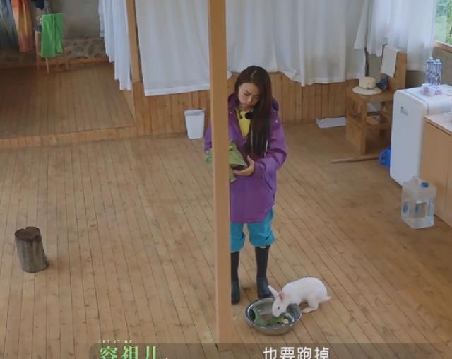 容祖儿|牧野家族:除了容祖儿,无论情侣还是“汉子”,独立生活能力太差