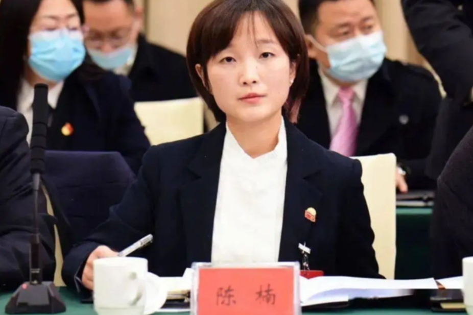 宜宾|90后女博士当选副市长,“弃医从政”让人佩服,评论却有不同声音