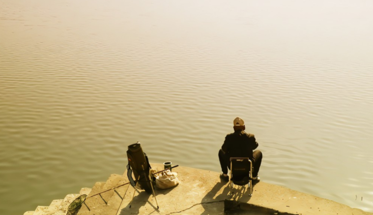 饵料|窝中进了大鱼,想把它们钓上来,还要做好以下几件事