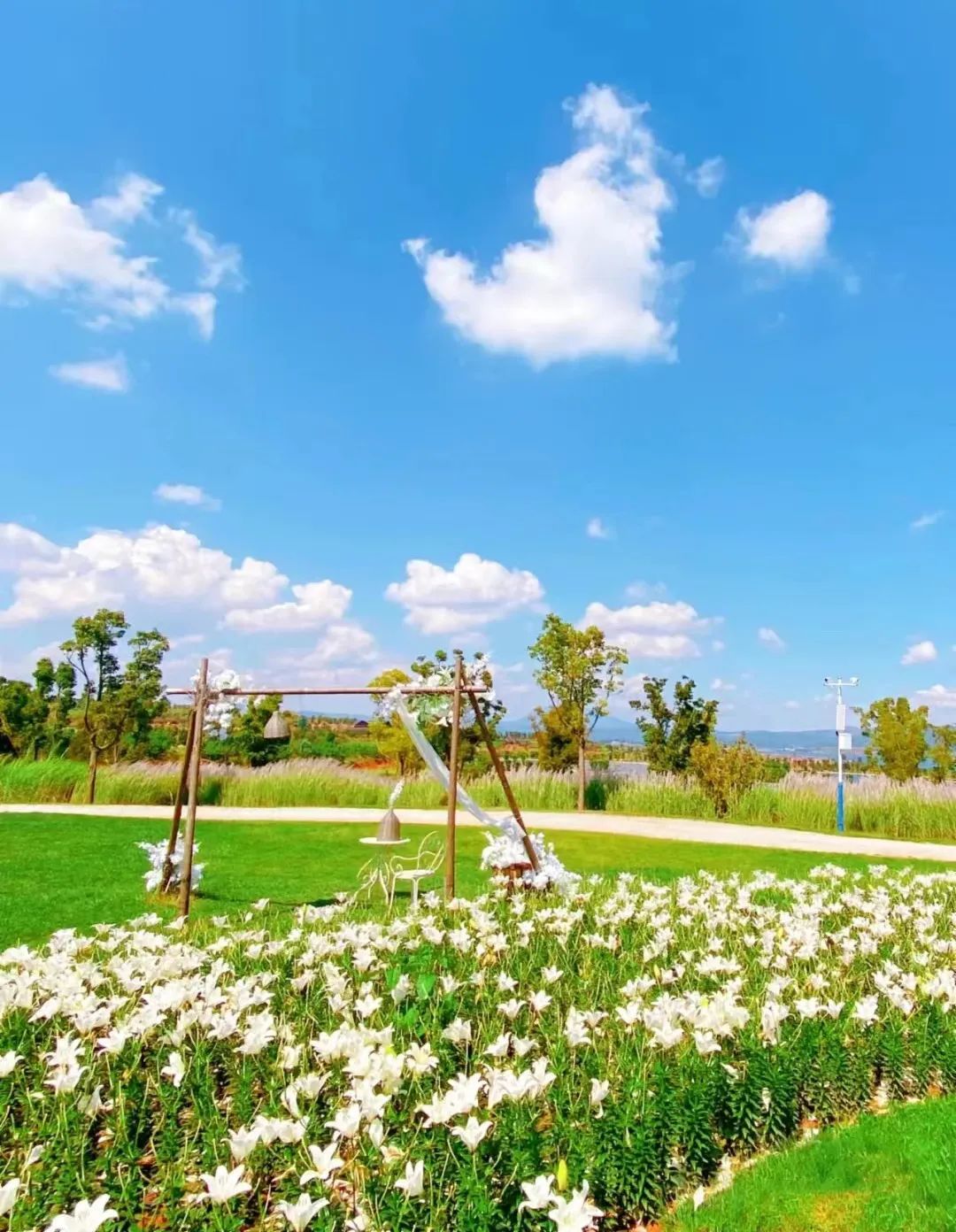 无量山|挖到一座20℃的避世小城，人均30畅泡温泉，一秒穿越摩洛哥，秋冬躺平正合适！