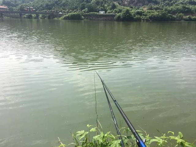 |渔乐杂谈：夏季钓鱼方法与技巧简述