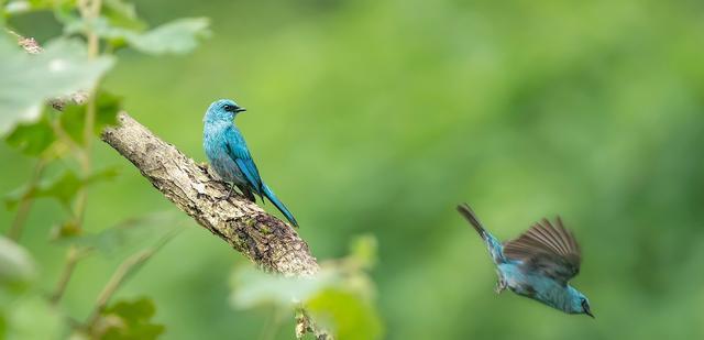|在职场，真正有“心计”的人，与同事关系再好，也不会做这五件事