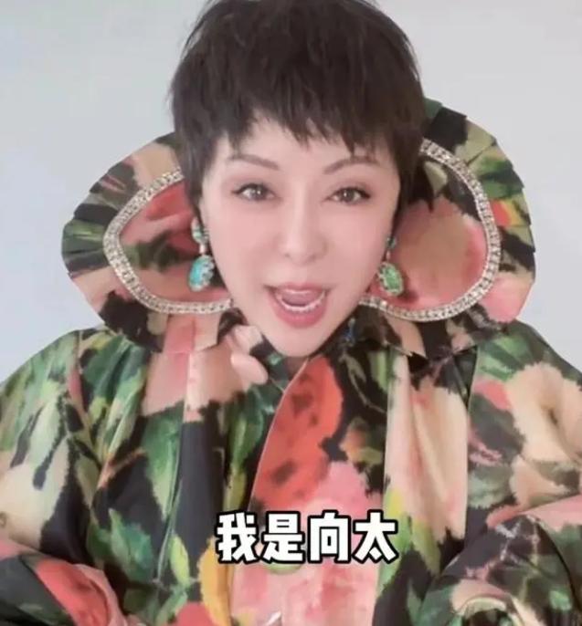 郭碧婷|向太陈岚戴顶级珠宝,一身穿搭顶10套楼房,郭碧婷嫁豪门被指高攀