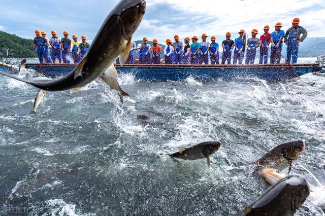 旅行|郭进拴|千岛湖奇观