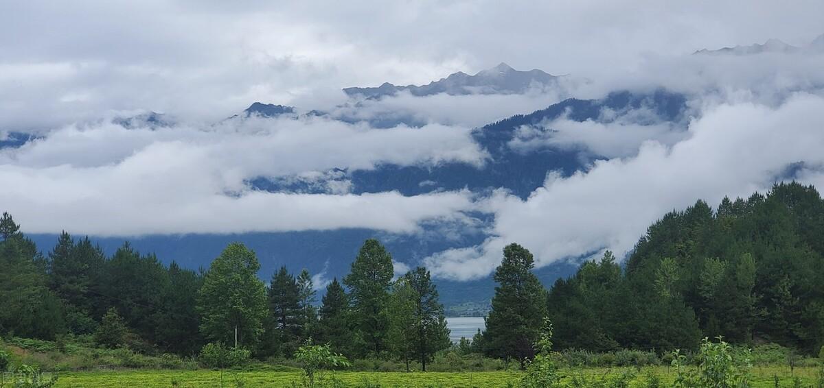 荷花|郭进拴|故乡的抱玉河