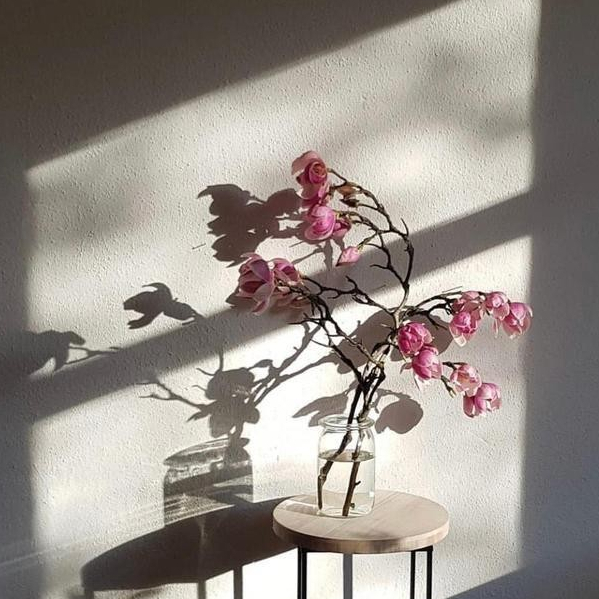 这对夫妻的家太美了!全屋朴素贴近自然,随手一拍就堪比艺术大片