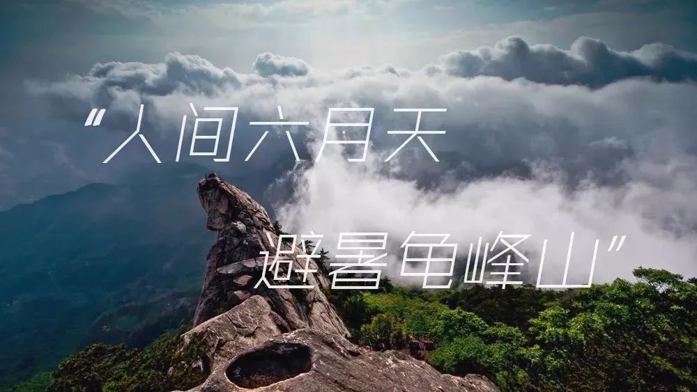 武汉|藏不住了!武汉1.5H直达避暑宝地,包吃住,人均不过百,清凉过夏天