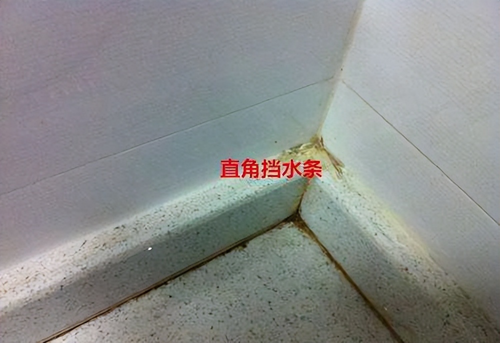 上海45岁阿姨凭“去家务化”装修火遍全网,看过才知自家是真low