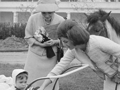 杰奎琳|杰奎琳:20多岁嫁给肯尼迪,30多岁就遭嫌弃,拿着几千万优雅转身