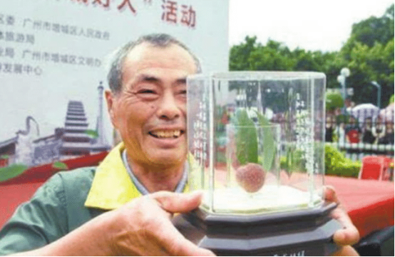 一颗荔枝卖55.5万!天价的挂绿母树荔枝,网友:堪比黄金吗?