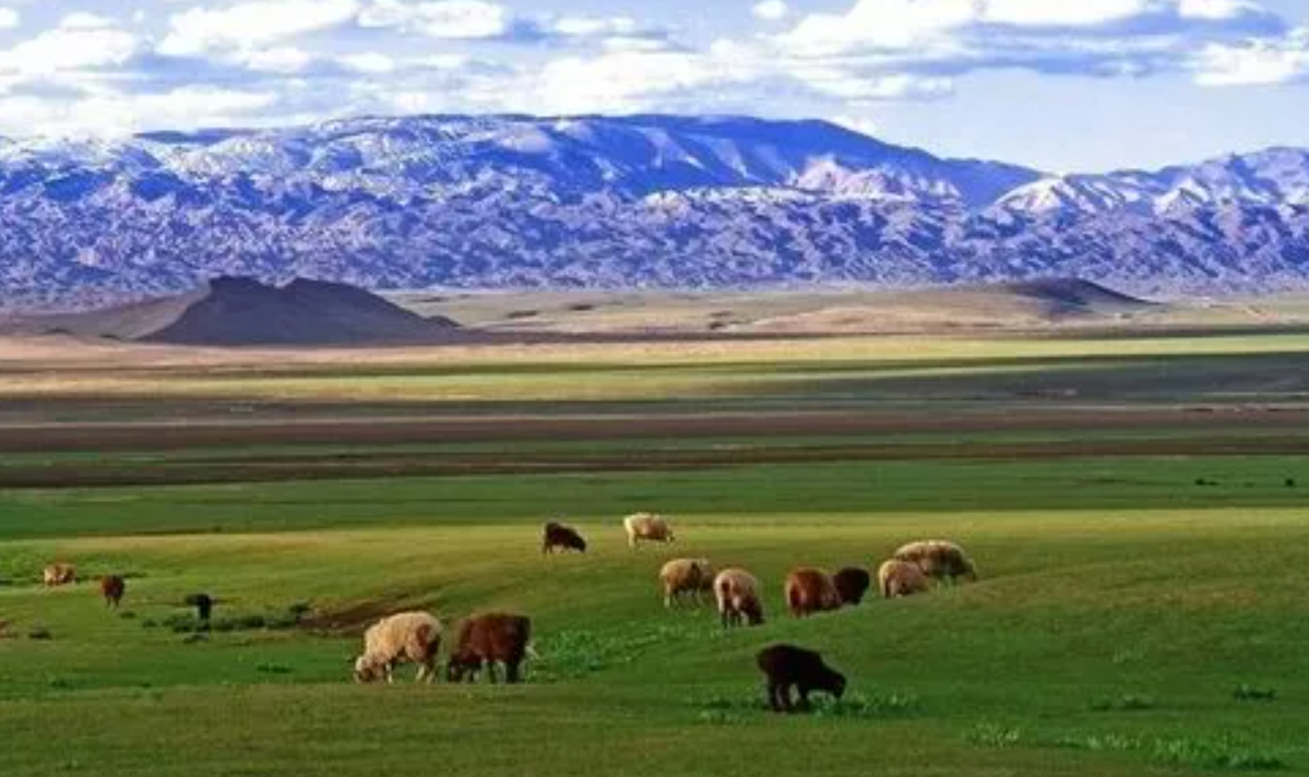 草原|哈密，除了哈密瓜，还有其他不能错过的景色