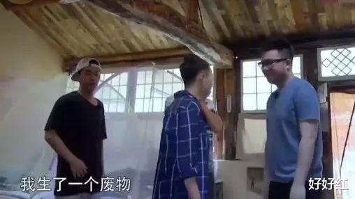 宋丹丹|你还是只会骂宋丹丹