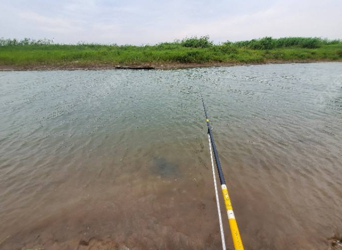 饵料|立春后钓鱼，钓“深”还是钓“浅”？做对了，想不爆护都难