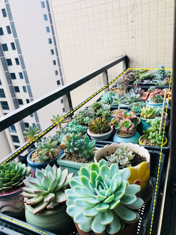 住12楼，我在阳台外搭不锈钢花架，楼下业主：天天看着心慌必须拆！